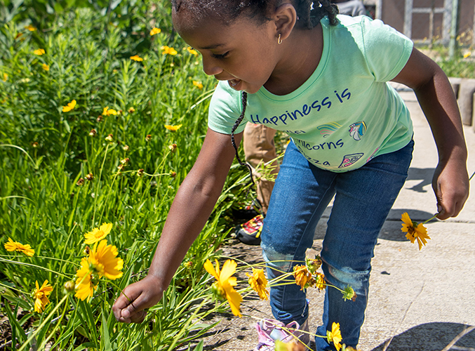 Child playing with flowers