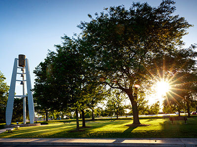 Bell Tower Tree Sun