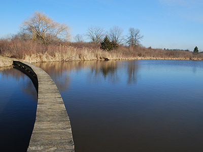 dock across the pond