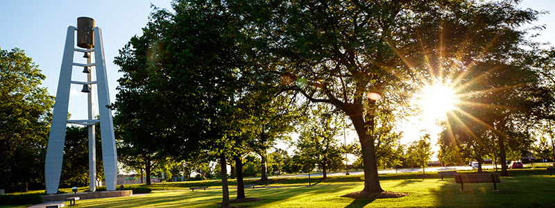 Bell Tower Tree Sun