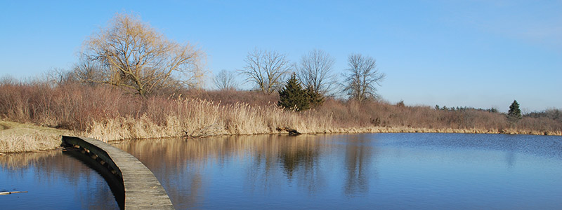 dock over pond