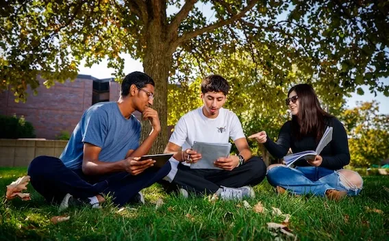 Three students talking and sitting under a tree while looking at books and tablets