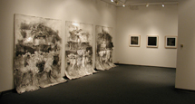 Past Exhibitions